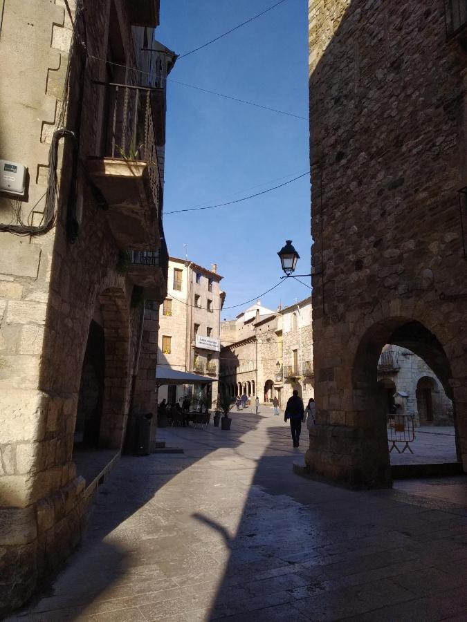 Apartament Can Mingu 2On Pis Besalú Eksteriør billede