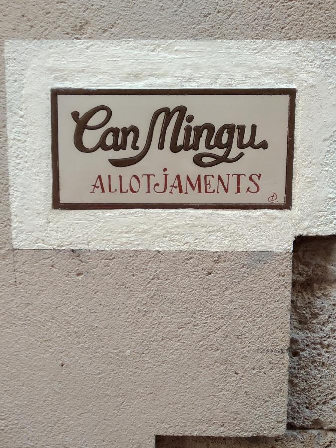 Apartament Can Mingu 2On Pis Besalú Eksteriør billede